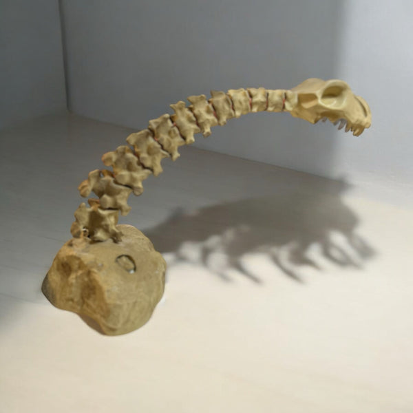 Lampasaurus Desk Lamp