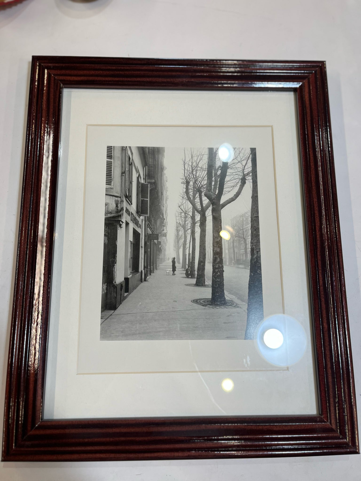 Dog Walker Photograph Framed Art