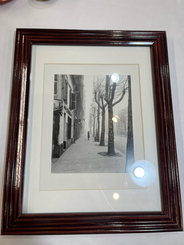 Dog Walker Photograph Framed Art
