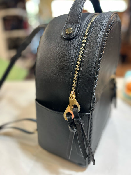 Calpak Black Backpack