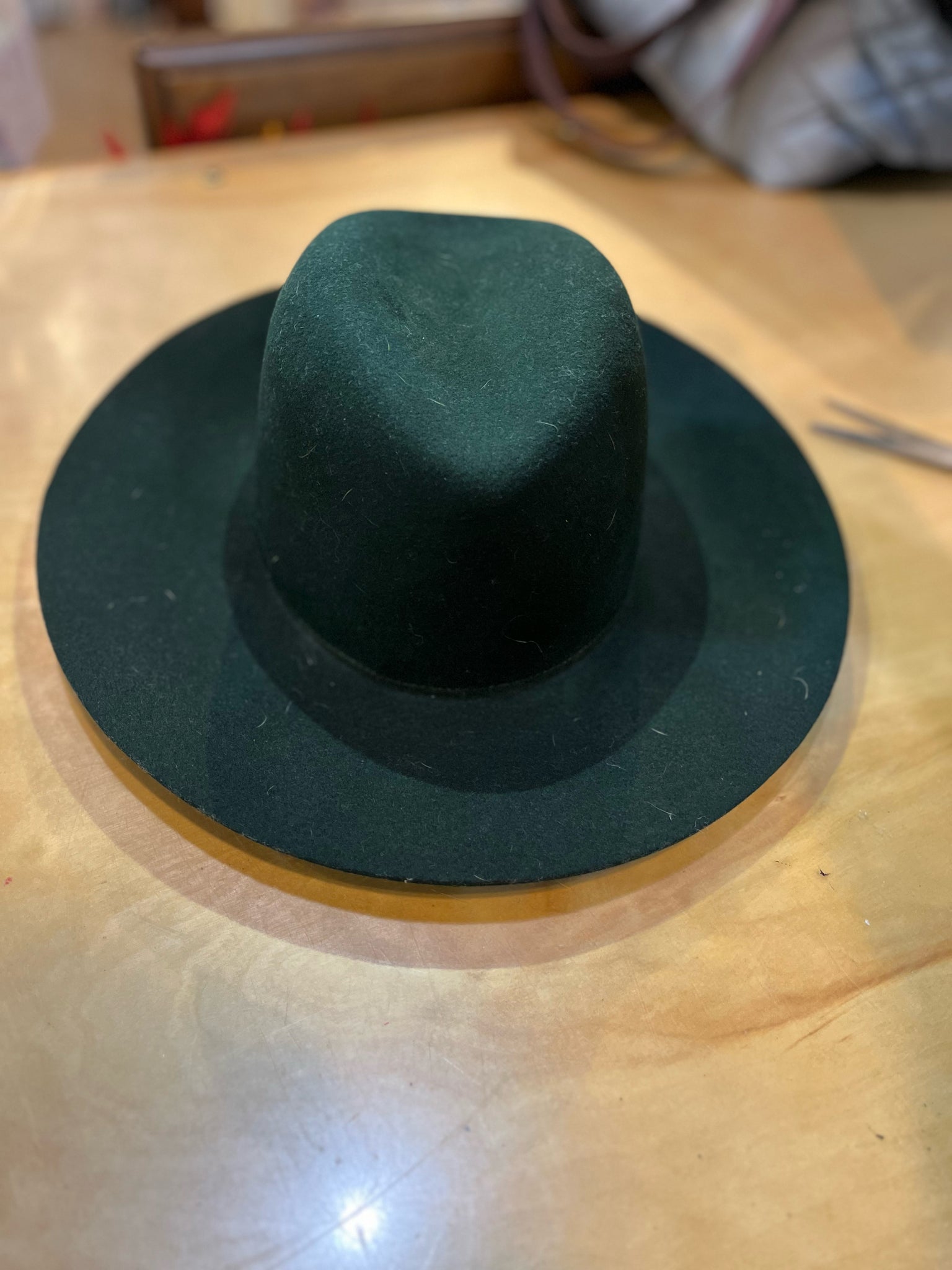 Janessa Leone Wool Hat