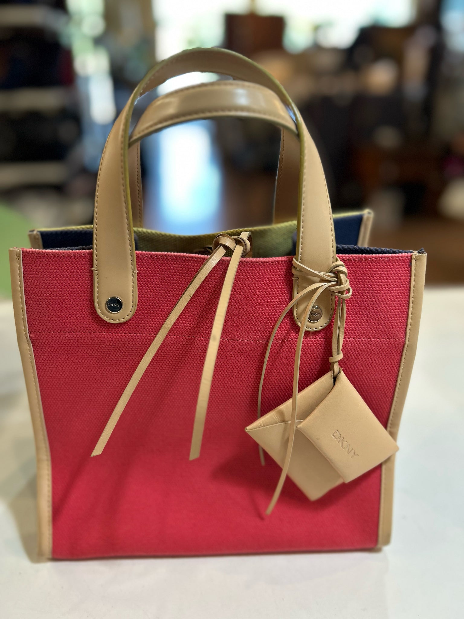 DKNY Colorblock Canvas Satchel