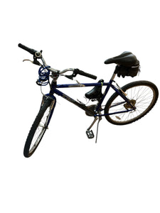 Trek Blue Millennia 25.5” Mountain Bike
