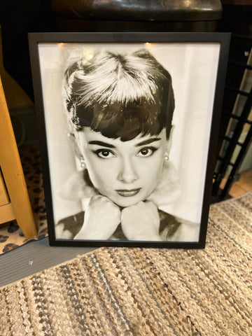 Audrey Hepburn Framed Art