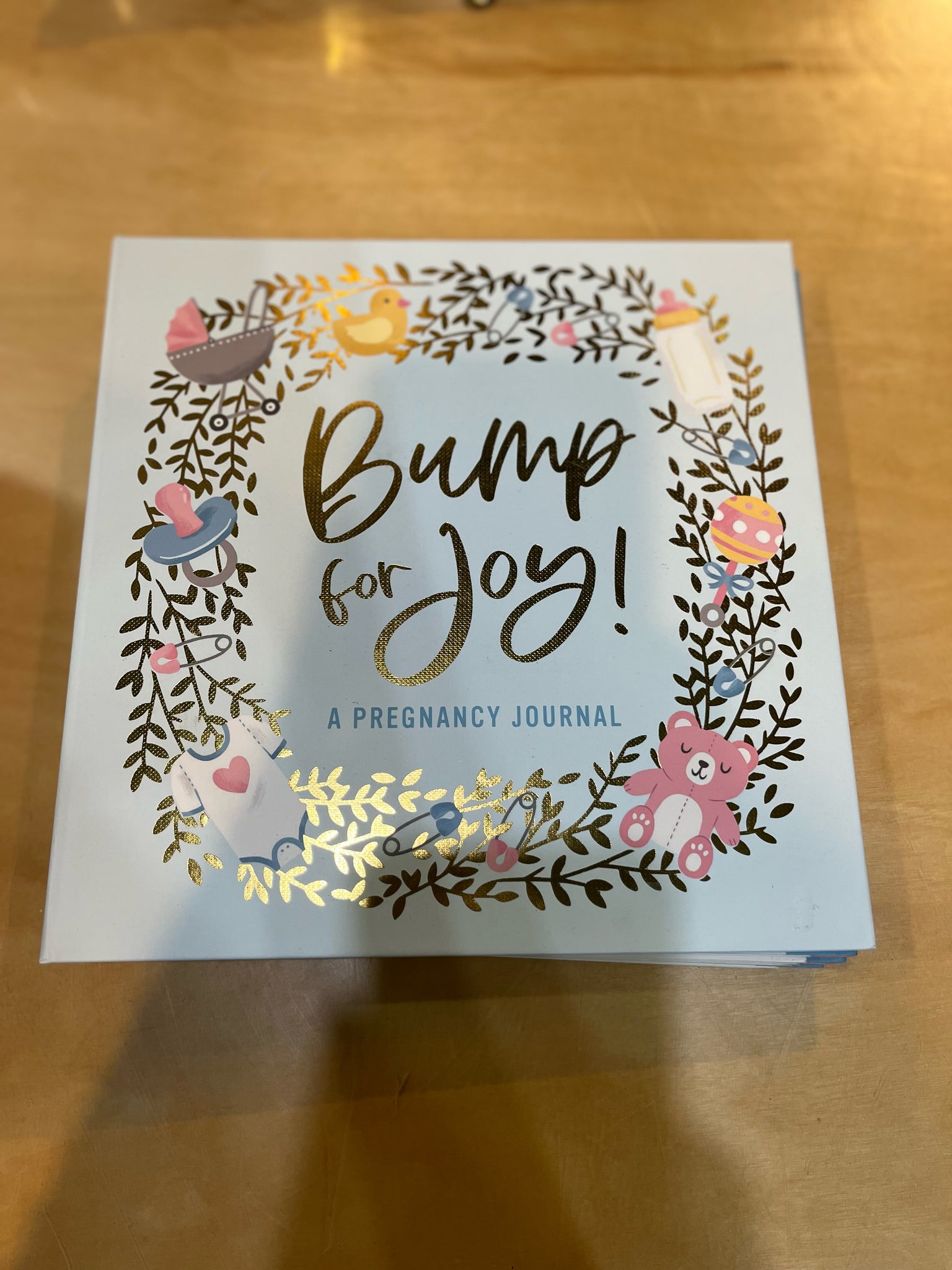 Studio Oh! Blue “Bump for Joy” Journal