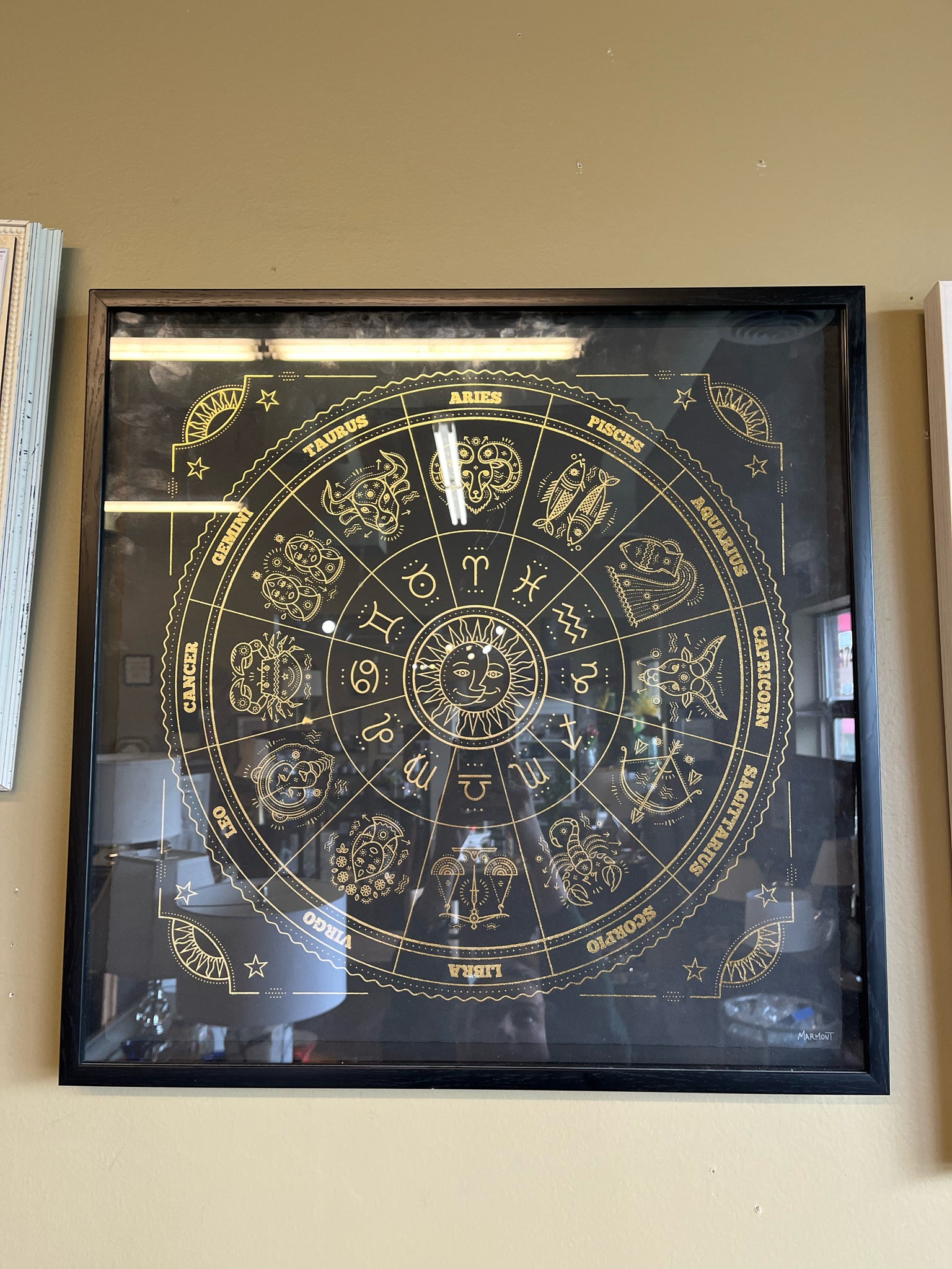 Black Zodiac Framed Art