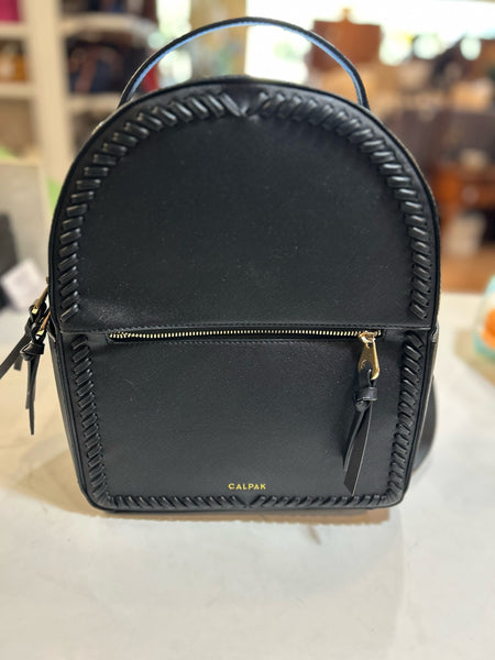 Calpak Black Backpack