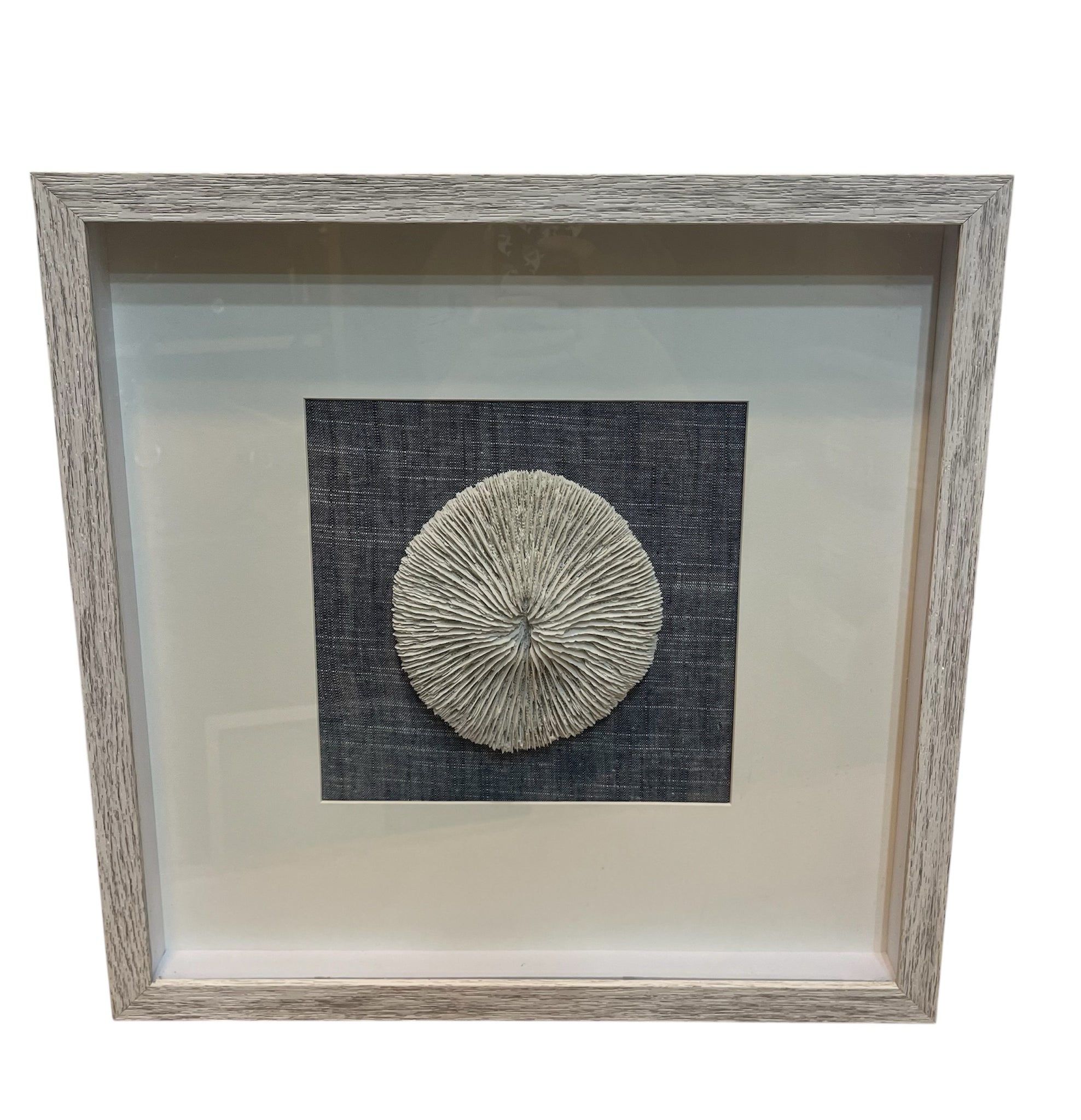 Framed Round Coral Shadow box Art