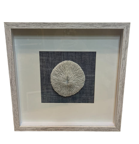 Framed Round Coral Shadow box Art