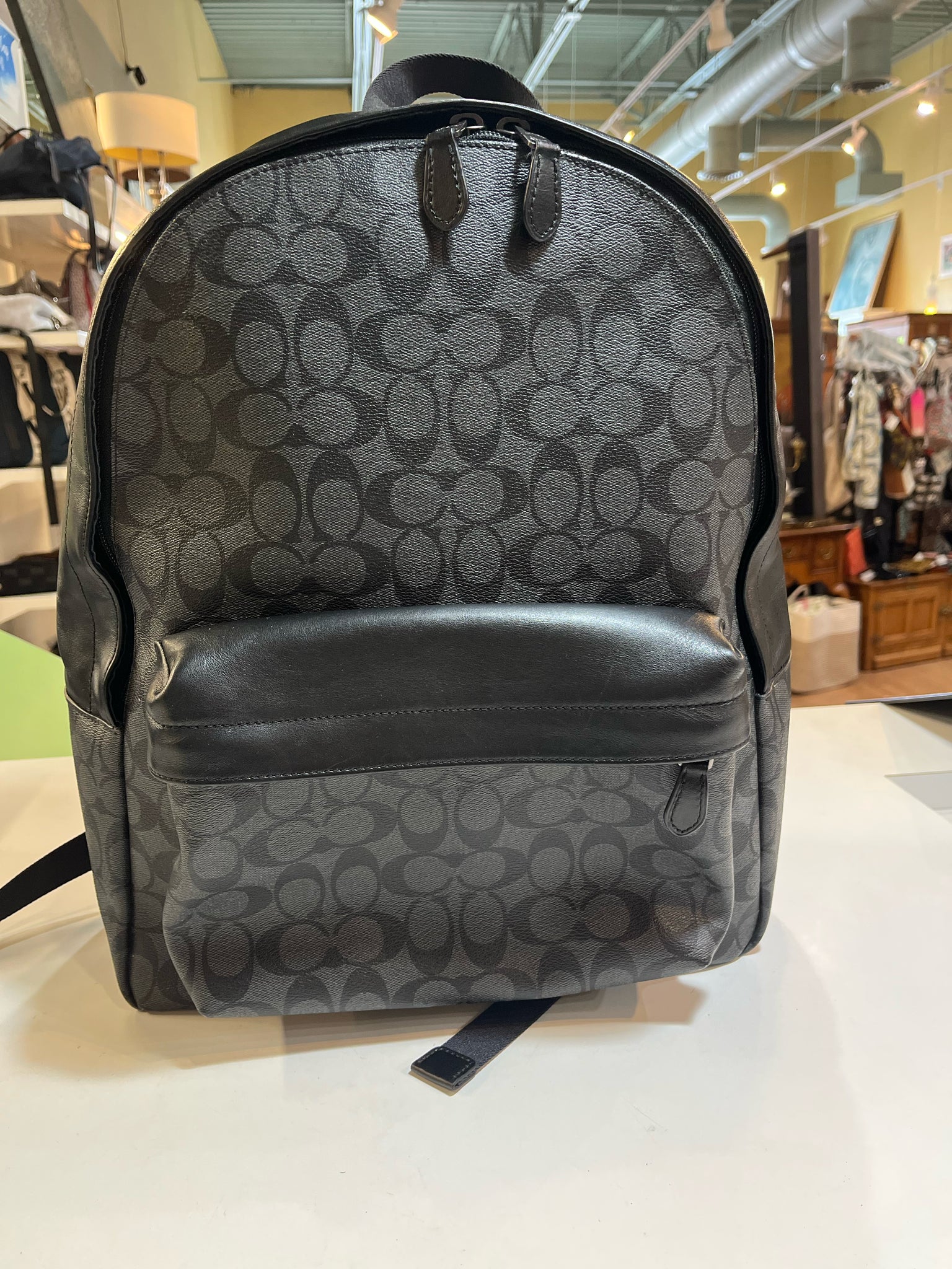 Coach Gray Signature Backpack