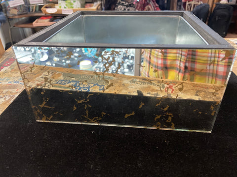 Mirror Glass Planter Box